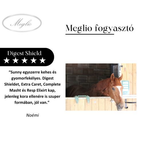 Digest Shield gyomorvédő-savlekötő lovaknak 800 g