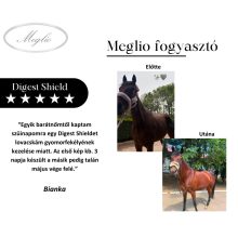 Digest Shield gyomorvédő-savlekötő lovaknak 3000 g