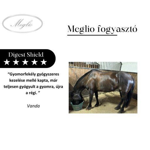 Digest Shield gyomorvédő-savlekötő lovaknak 3000 g