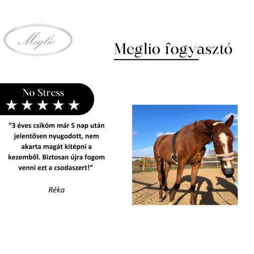 No Stress tonico antistress con magnesio per cavalli