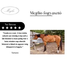 No Stress tonico antistress con magnesio per cavalli