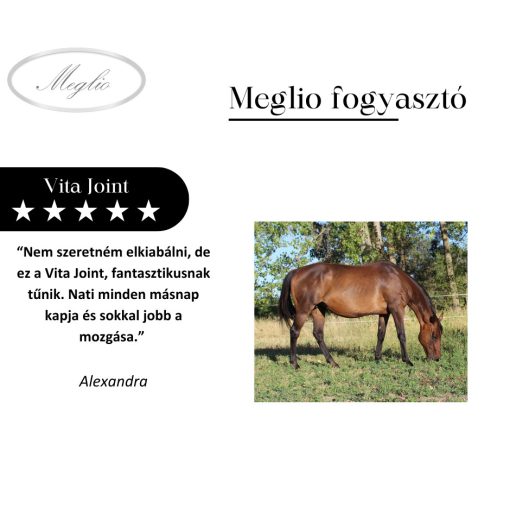 Vita-Joint Complex – Joint Support Liquid with Boswellia