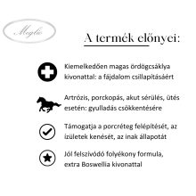 Vita-Joint GOLD liquido complesso per la protezione delle articolazioni con artiglio del diavolo