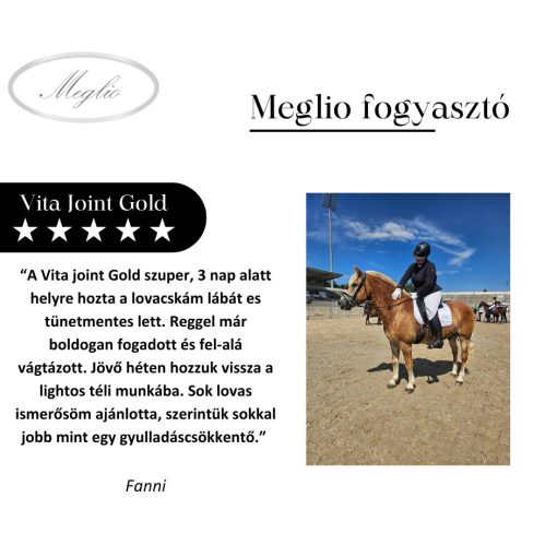 Vita-Joint GOLD liquido complesso per la protezione delle articolazioni con artiglio del diavolo