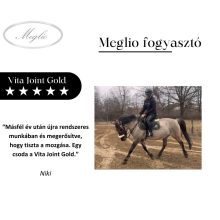 Vita-Joint GOLD liquido complesso per la protezione delle articolazioni con artiglio del diavolo