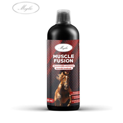 Muscle Fusion izomépítést támogató aminosav és kreatin formula
