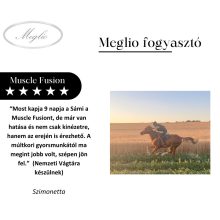 Muscle Fusion formula di aminoacidi e creatina per il supporto dello sviluppo muscolare nei cavalli