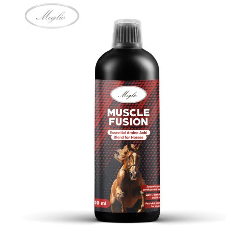 Muscle Fusion formula di aminoacidi e creatina per il supporto dello sviluppo muscolare nei cavalli