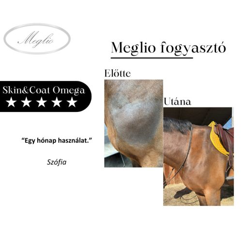 Skin&Coat Omega kötőszövet- és szőrzet támogató takarmány kiegészítő
