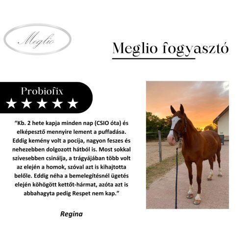 Probiofix probiotikum és prebiotikum kombináció lovaknak