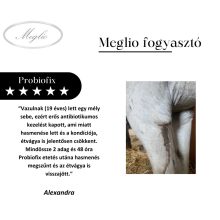 Probiofix probiotikum és prebiotikum kombináció lovaknak