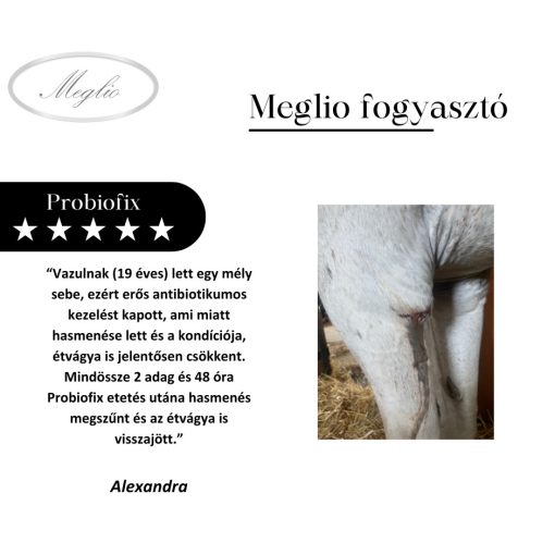 Probiofix probiotikum és prebiotikum kombináció lovaknak