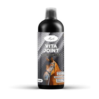 Ízület & Mozgásszervi Támogatás