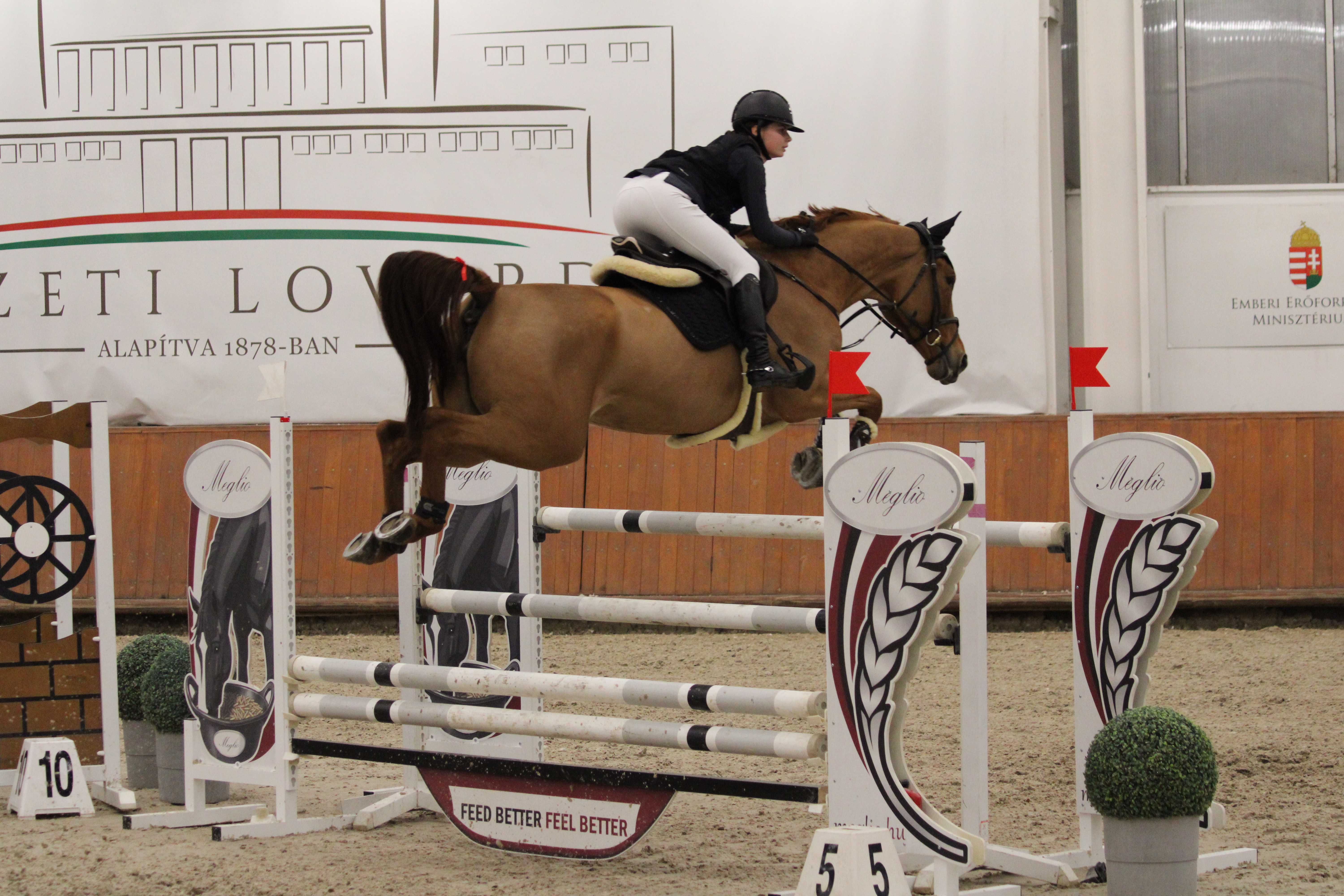 Több, mint 800 start: ilyen volt a Meglio Champions Tour 3. állomása