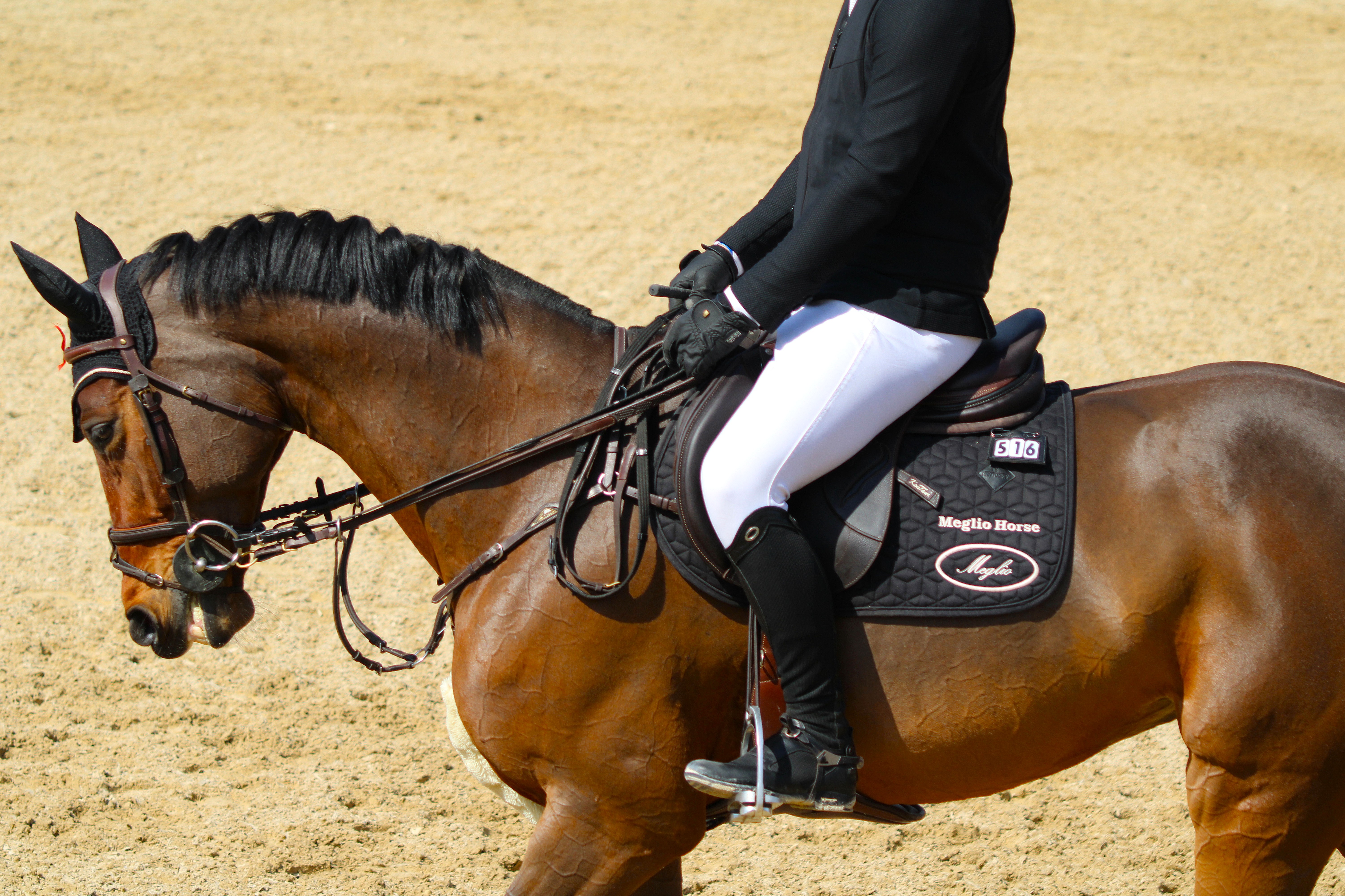 Žalúdočné vredy u koní: príznaky, príčiny a účinná ochrana žalúdka