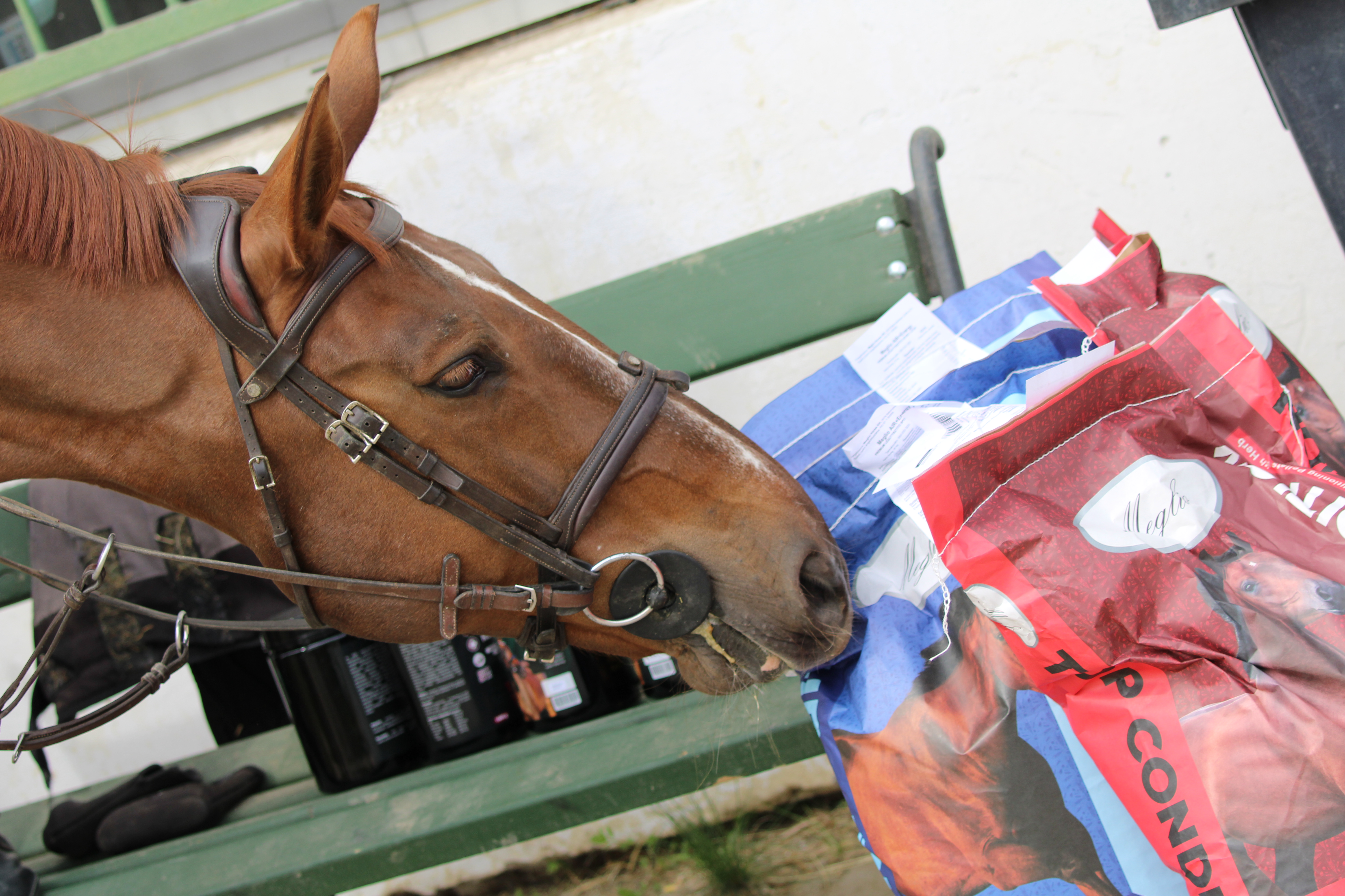 Tavaszi nyereményjáték áradat