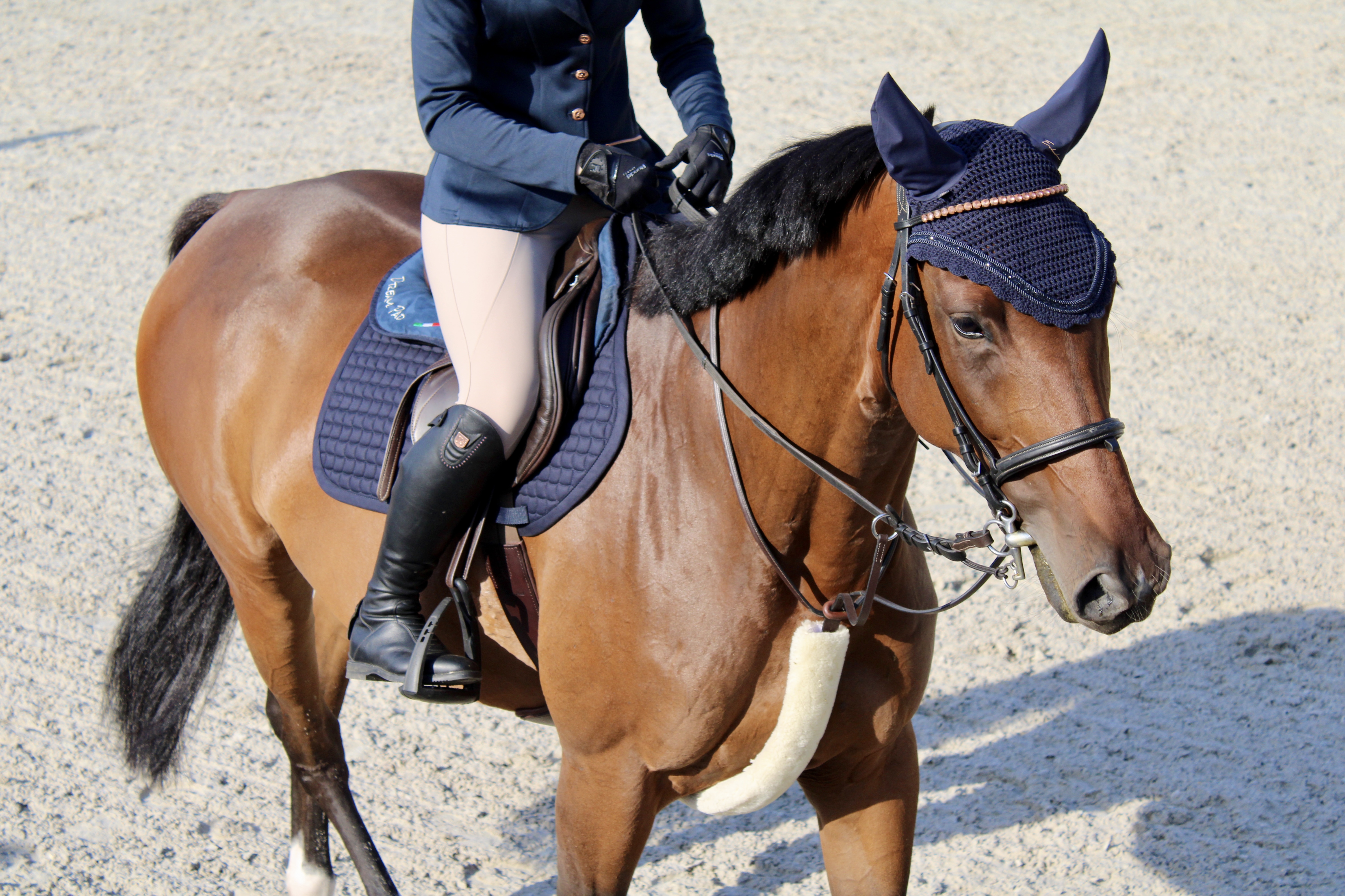 Meglio Extra Care: az érzékeny lovak etalonja