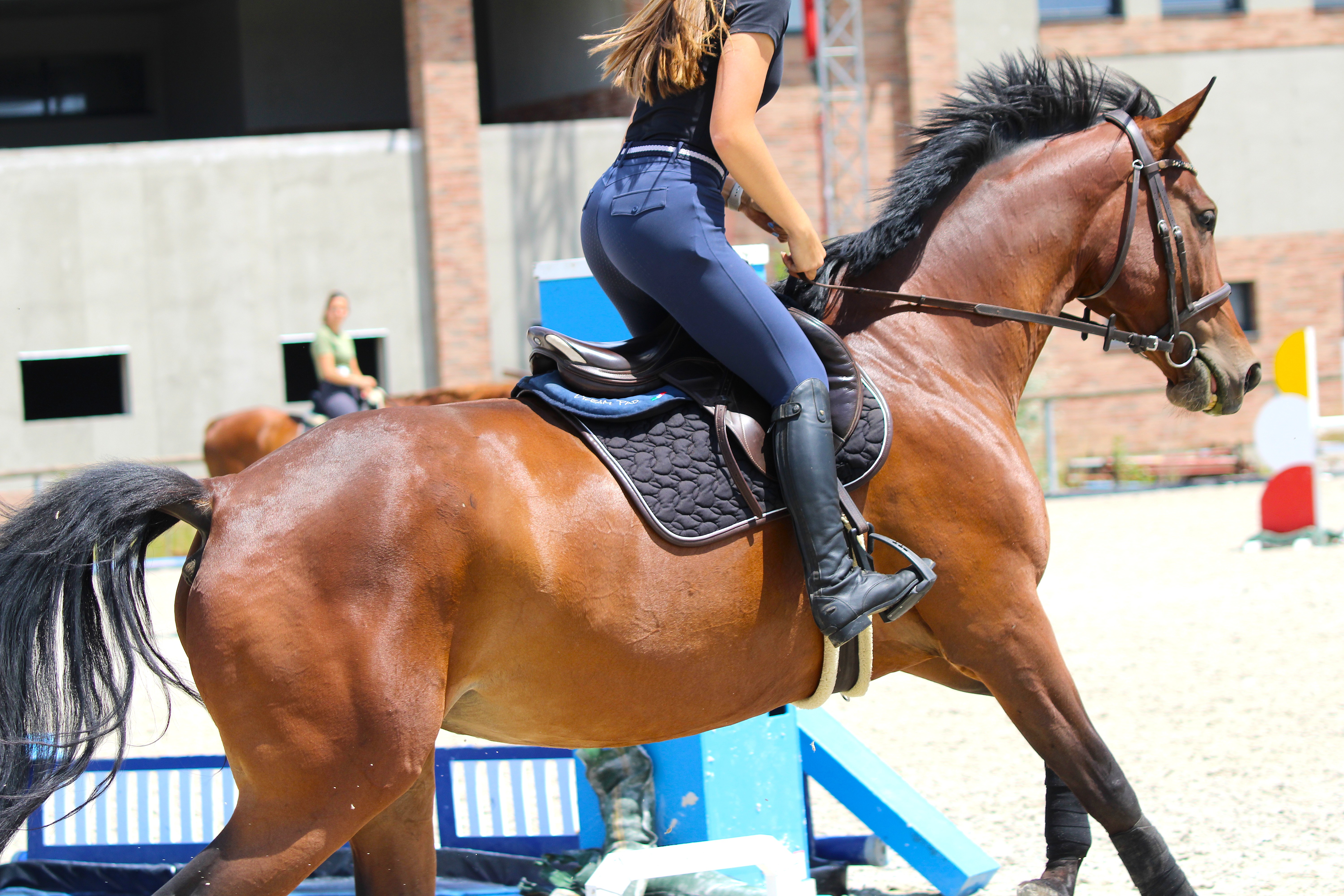 Is your horse coughing in summer? This is why airway cleansing is important!