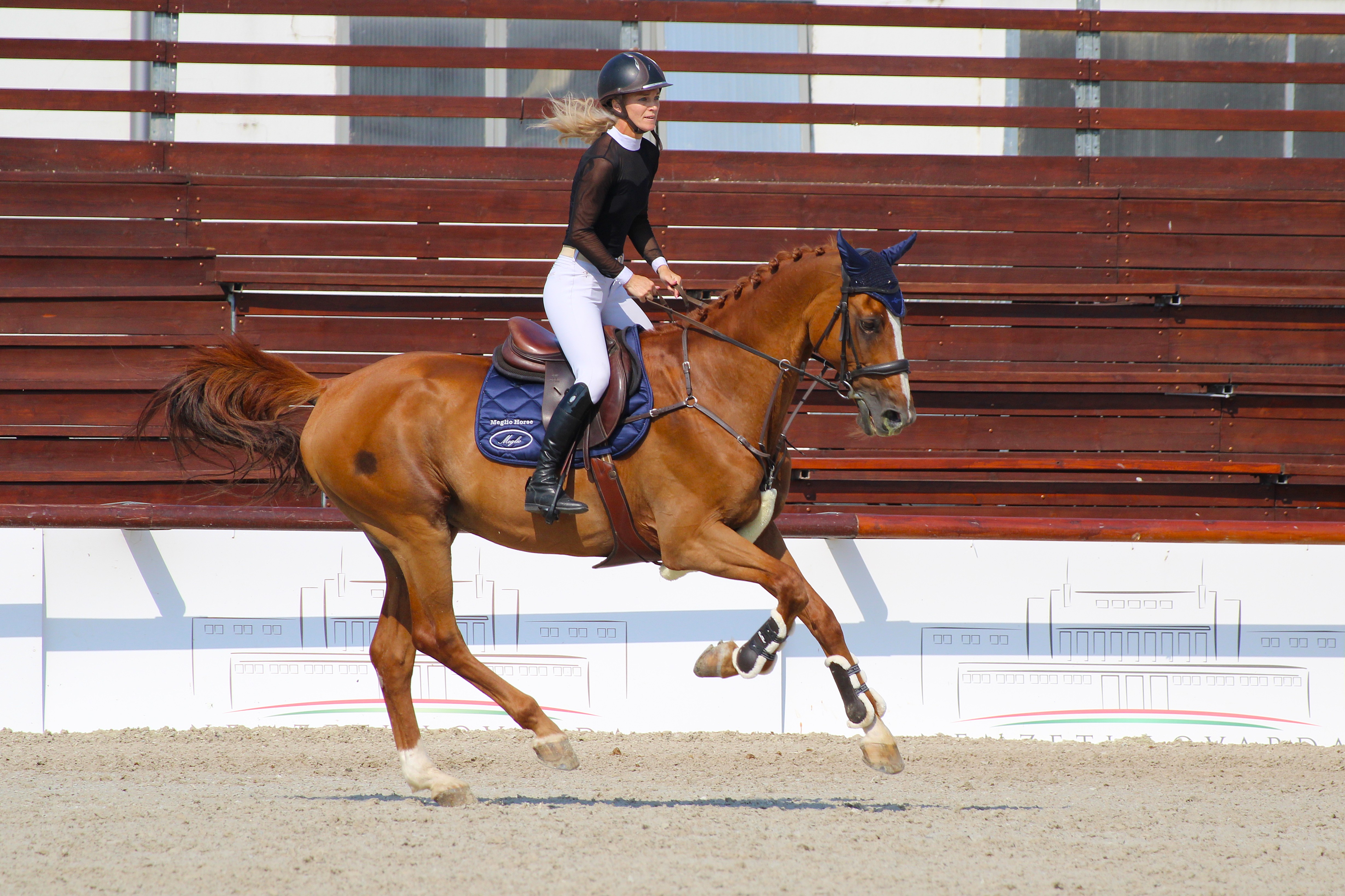 Natural support for horses’ respiratory health