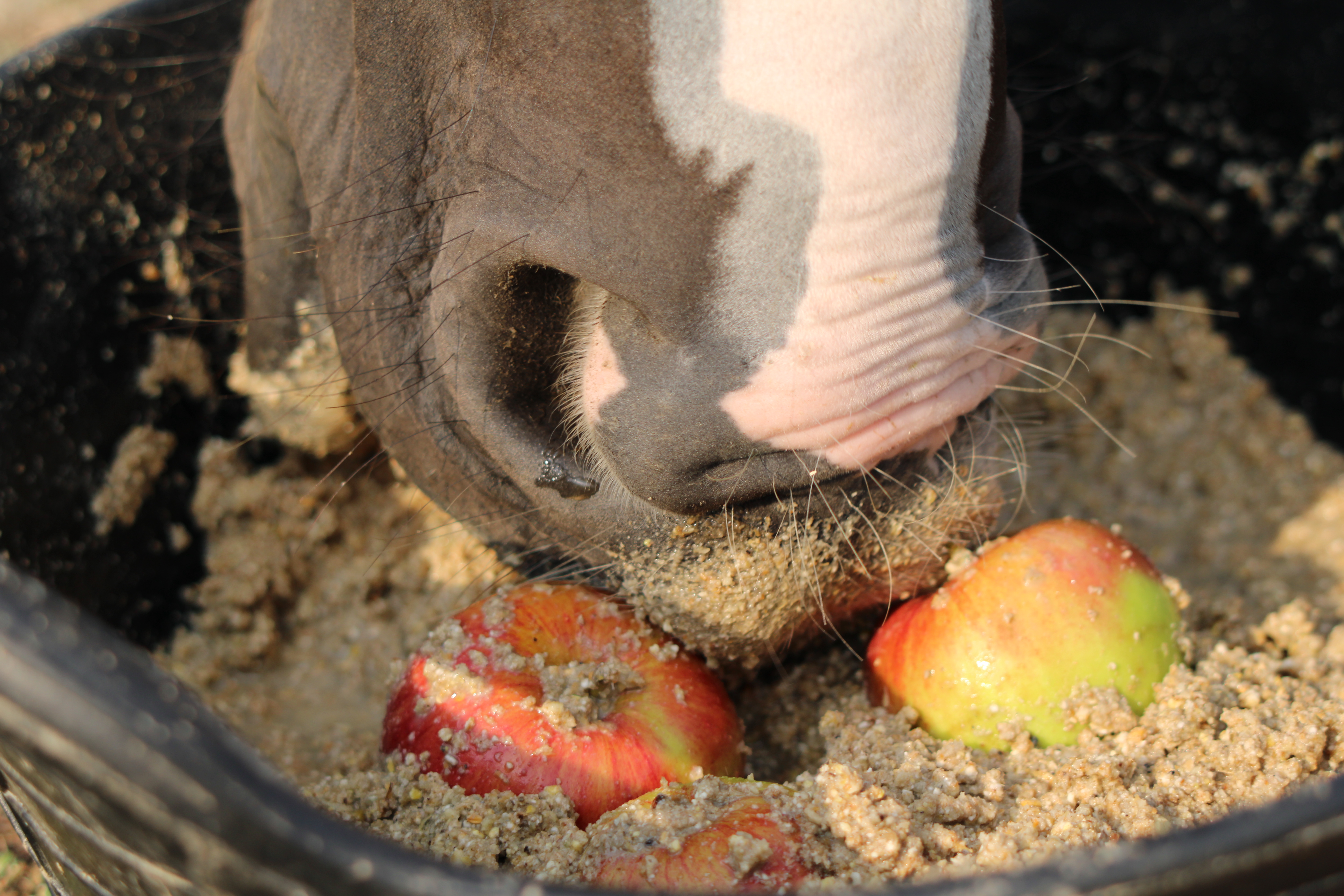 Abrakolás előtt a legfontosabb: beszénázni!
