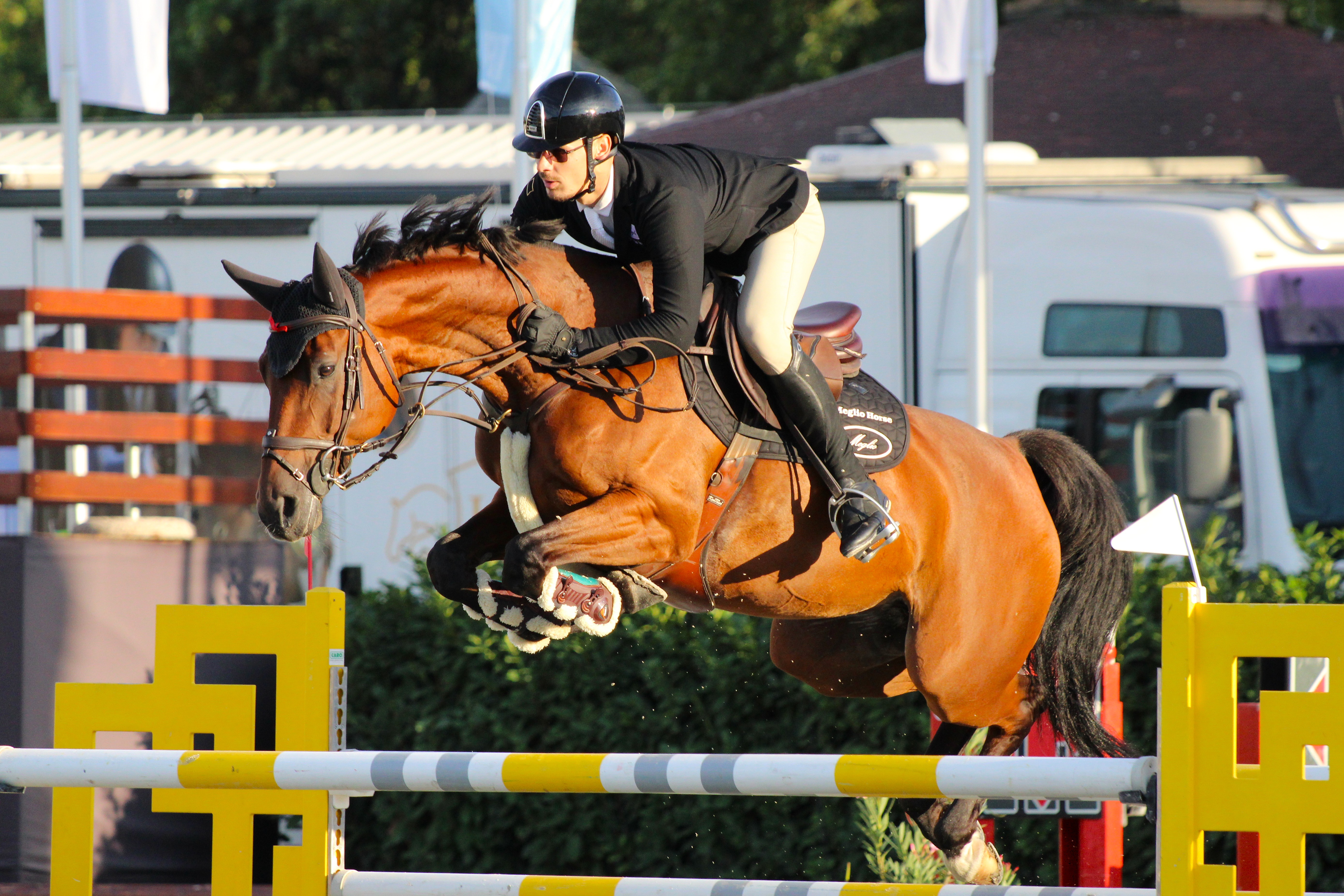 Introducing: Roland Kovács, Brand Ambassador for Meglio Horse