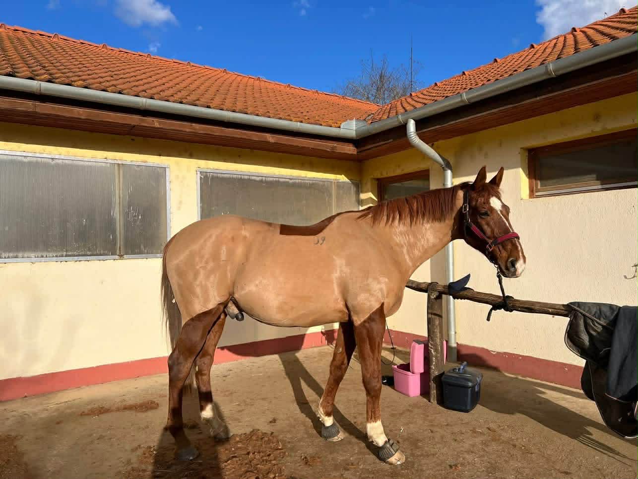 Život zachraňujúci Resp Elixir: riešenie proti kašľu?