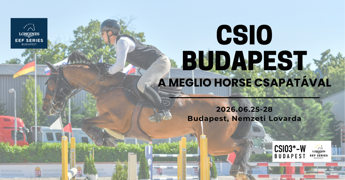 Találkozzunk a CSIO Budapesten – vár a Meglio Horse csapata!